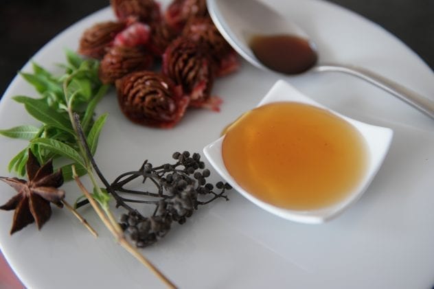 soupe pêche de vigne