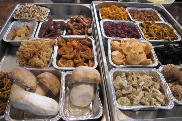 filet de canard farci cuit à basse température