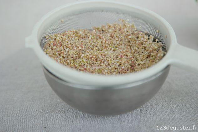 réussir ses graines germées