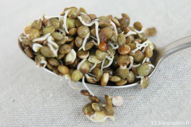 réussir facilement ses graines germées