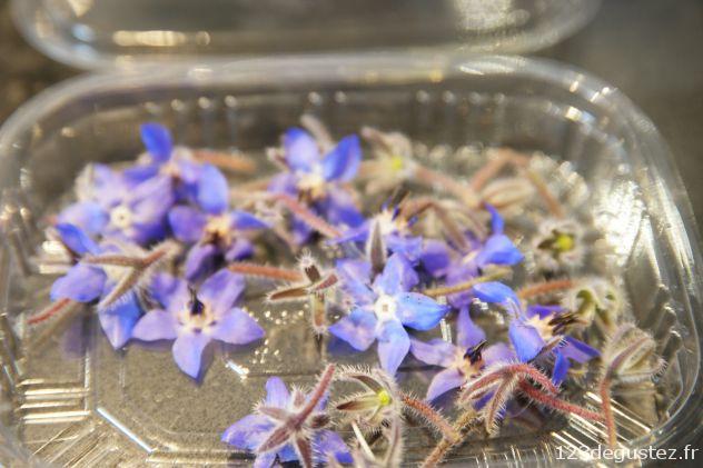 Concours Bocuse cuisine et émotion