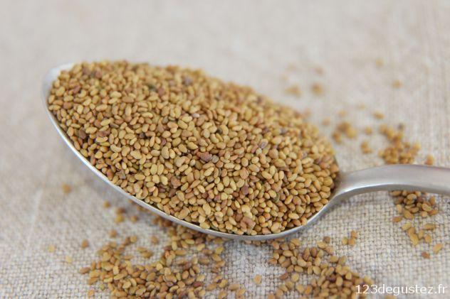 réussir ses graines germées