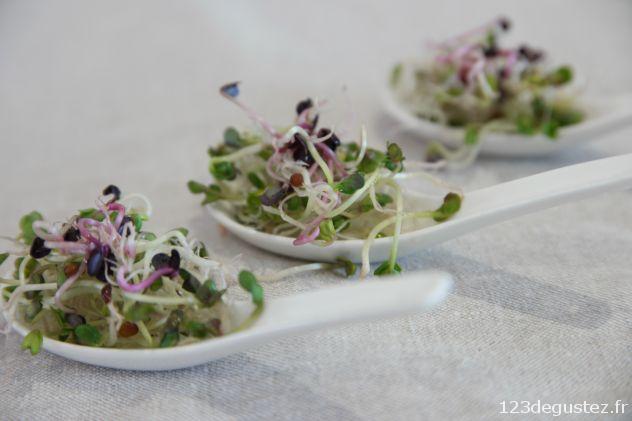 réussir ses graines germées