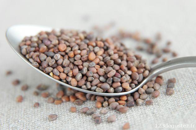 radis pourpre germé
