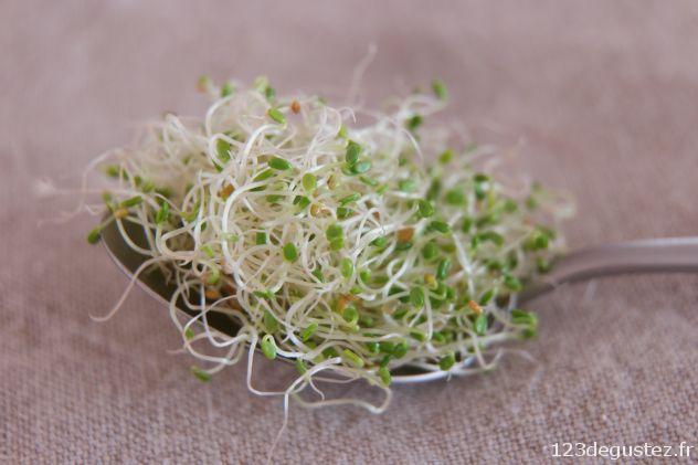 défi graines germées