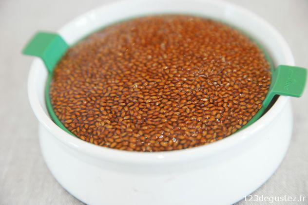 réussir ses graines germées