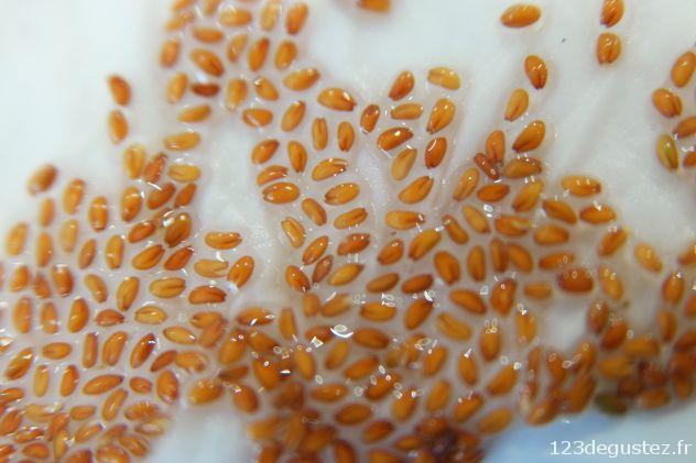 graines germées maison