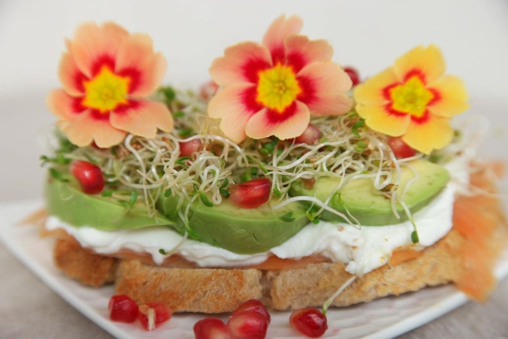 roquette germée en mélange