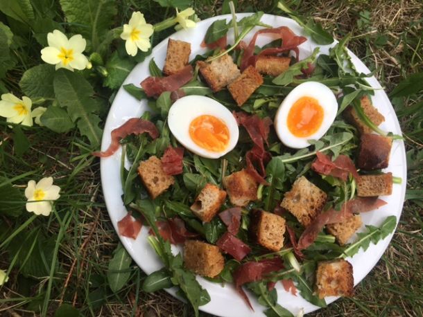 Salade de pissenlits