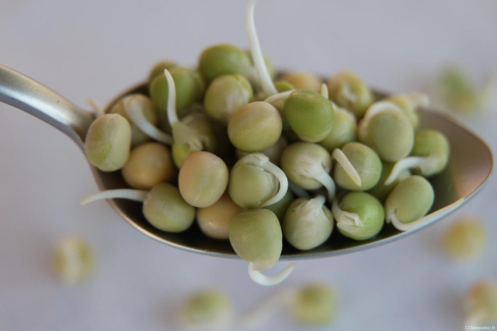 Pois verts germés