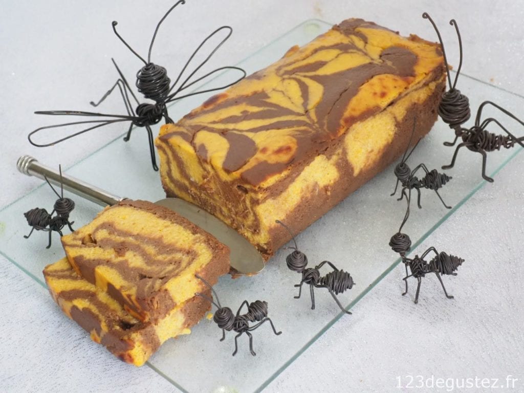Gâteau marbré de butternut sans gluten et sans lactose