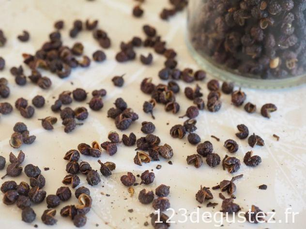 poivre Timut