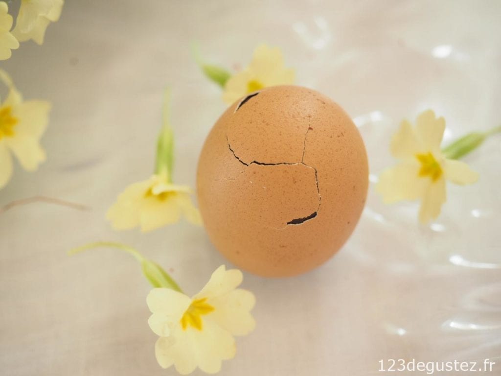 oeuf en chocolat surprise