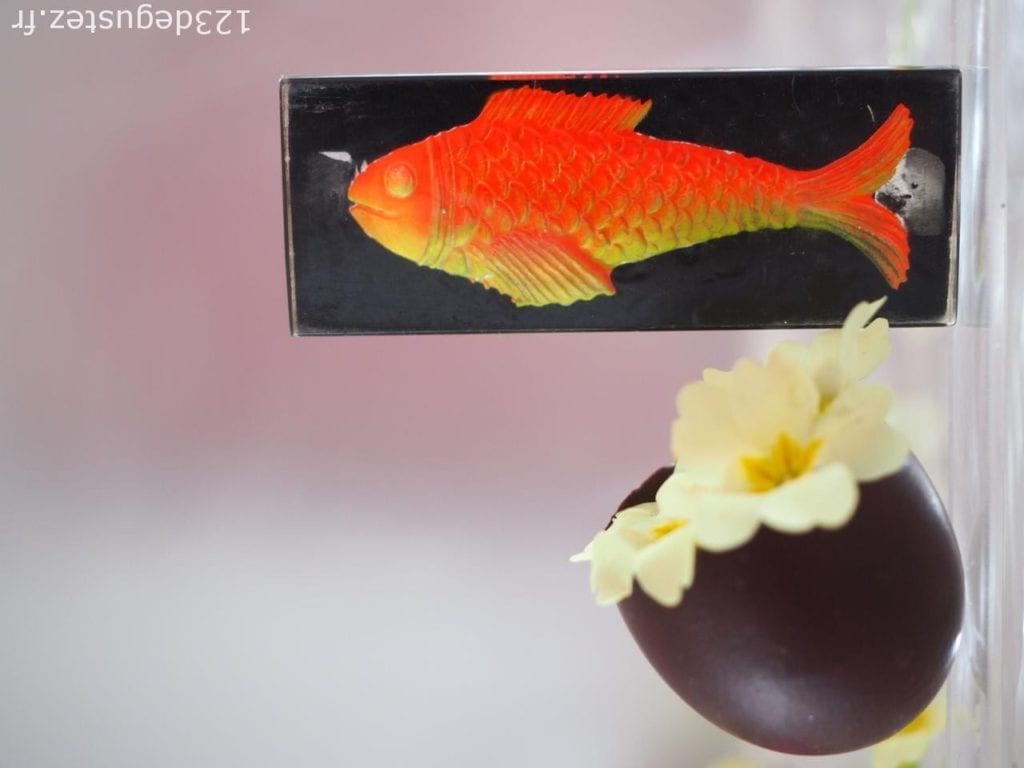 oeuf en chocolat surprise