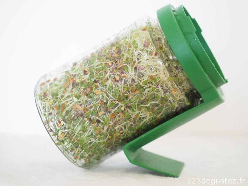 superbowl 5 ans bataille food