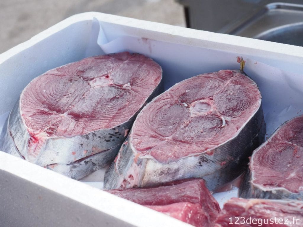 thon rouge et pêcheur de thon