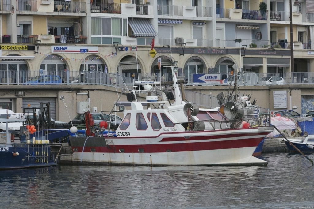 thon rouge et pêcheur de thon