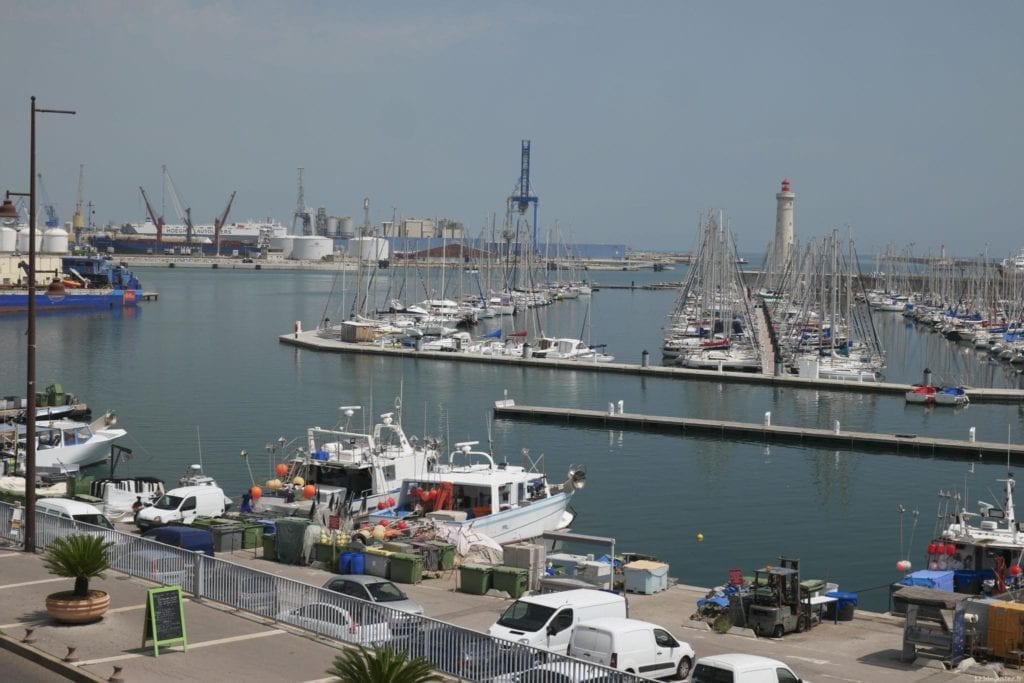 thon rouge et pêcheur de thon