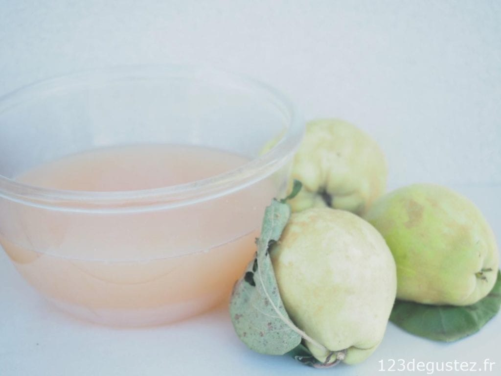 pate de coing et sa gelée