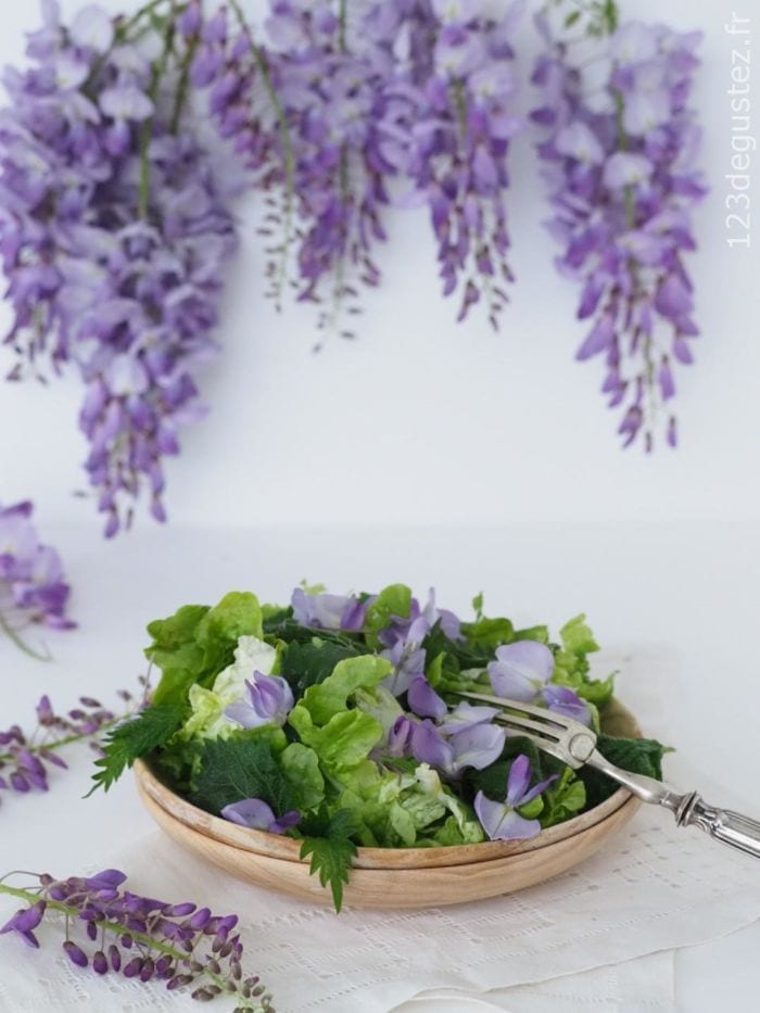 salade glycine