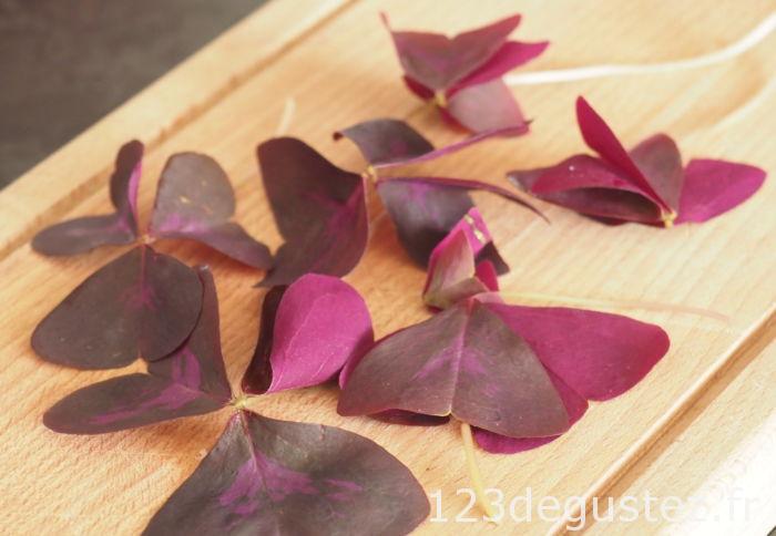 salade oeufs durs à l'oxalis