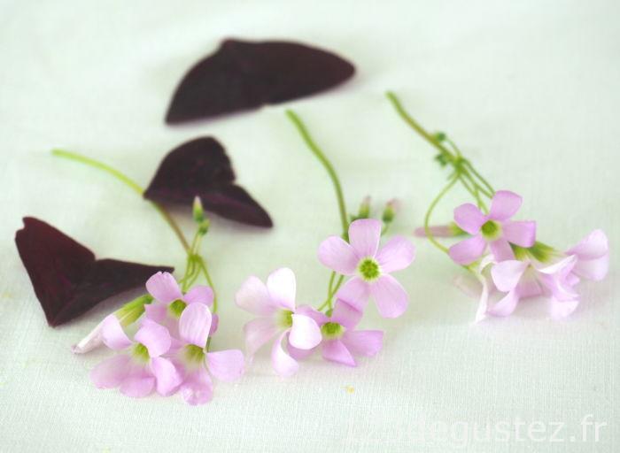 salade oeufs durs à l'oxalis