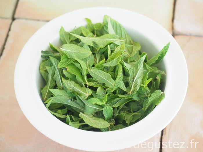 sorbet chocolat menthe