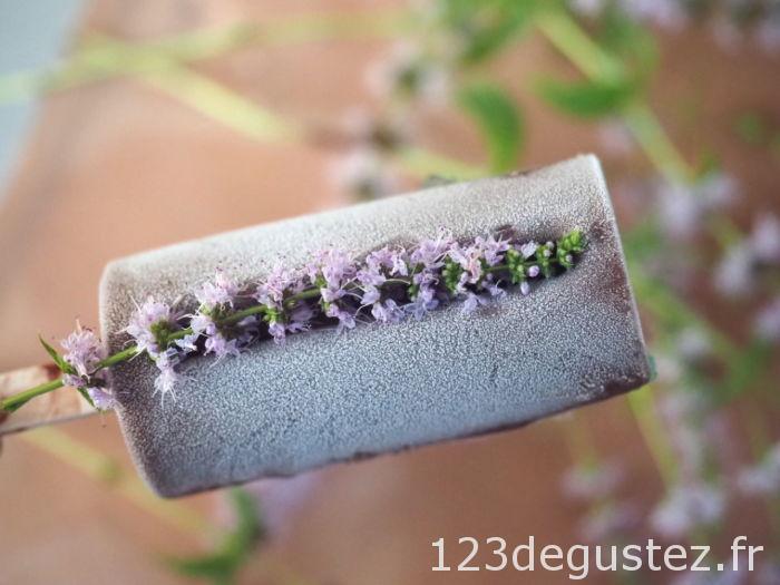 sorbet chocolat menthe