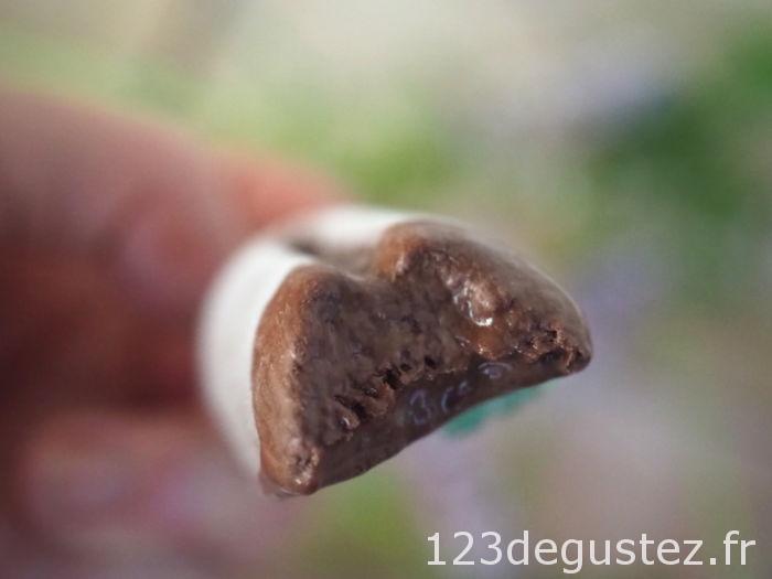 sorbet chocolat menthe