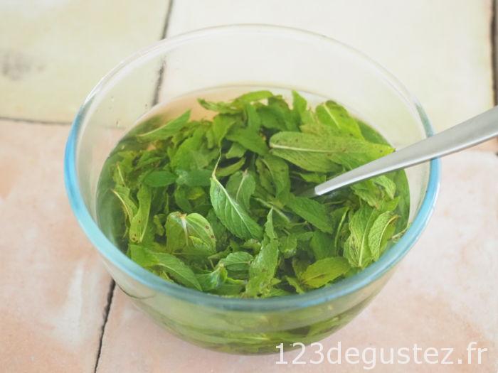 sorbet chocolat menthe