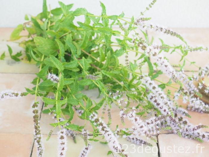 sorbet chocolat menthe