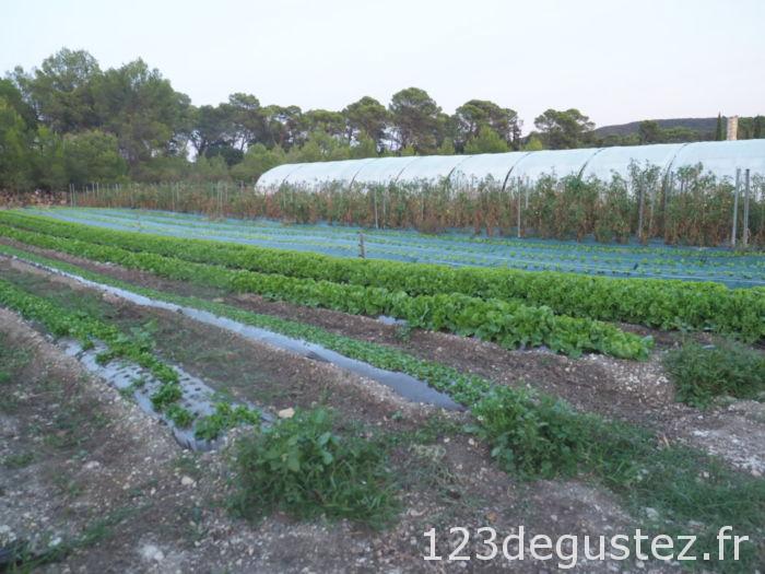 finale des Toques Bio 2019