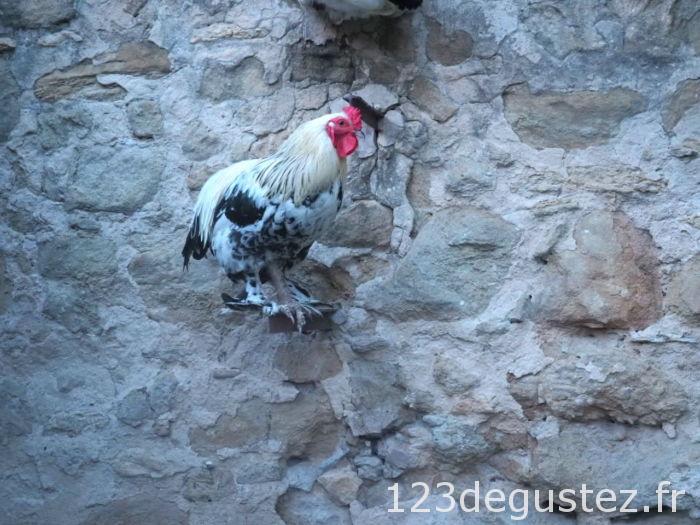 finale des Toques Bio 2019