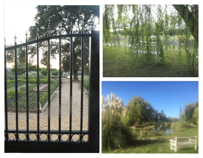 finale des Toques Bio 2019