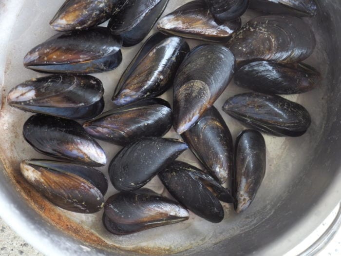 moule apéro au vinaigre de Banyuls