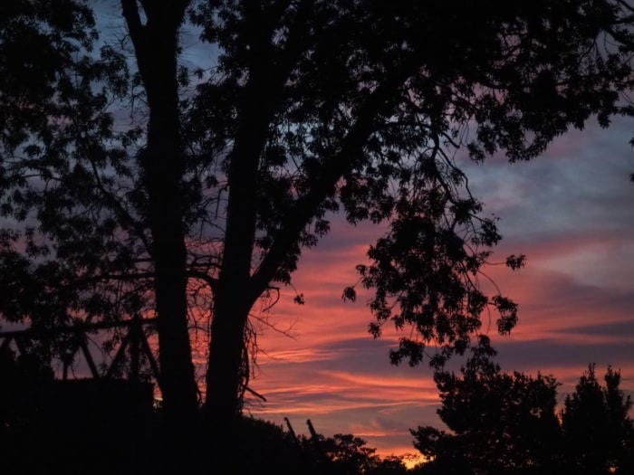 finale des Toques Bio 2019