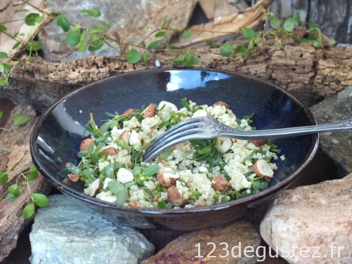 e-book 4 saisons de cueillette