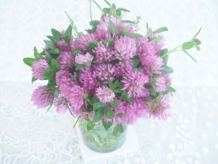 Fleur de trele en cuisine