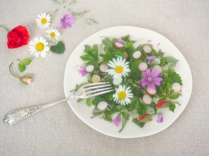 salade sauvage de printemps