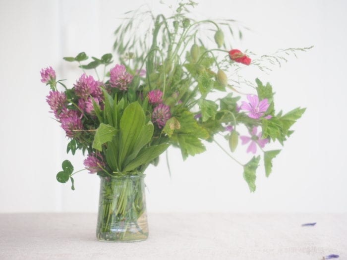 salade sauvage de printemps