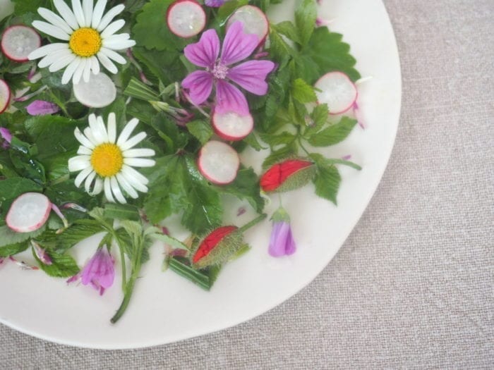 salade sauvage de printemps