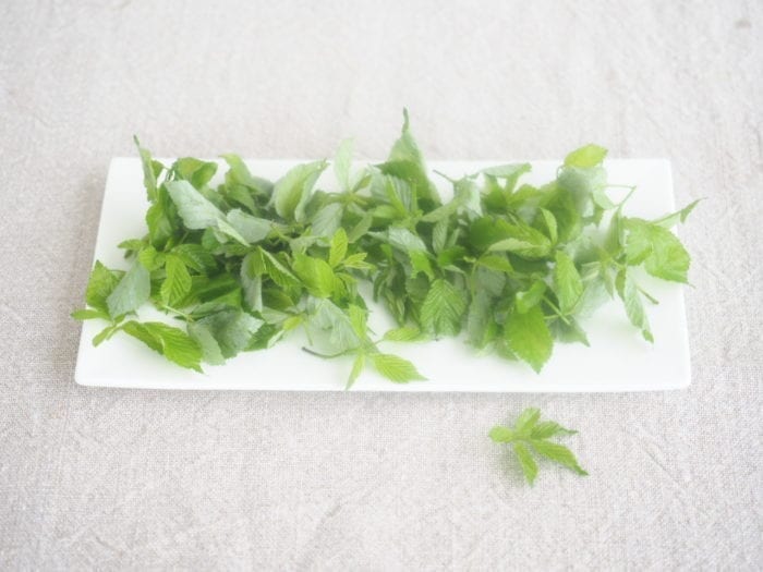 salade sauvage de printemps