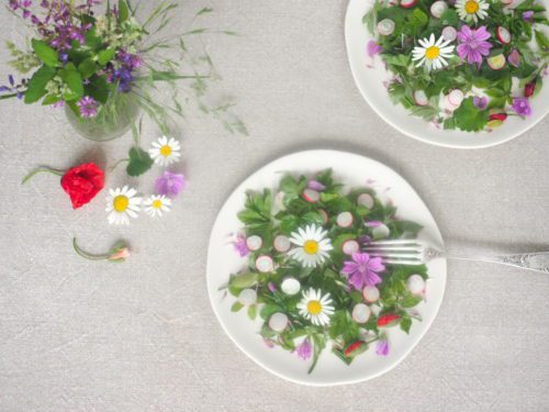 salade sauvage de printemps