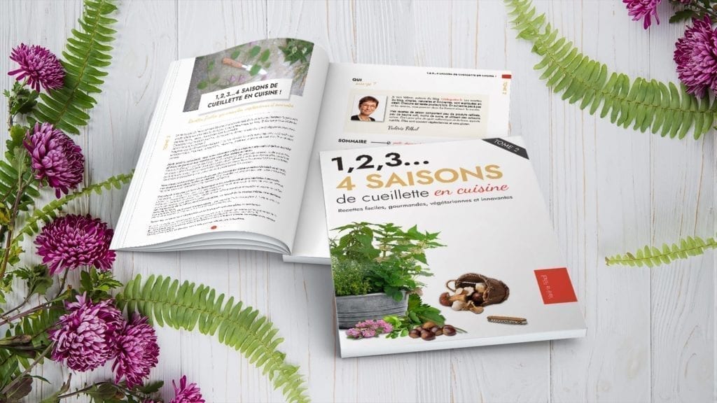 4 saisons de cueillette - tome 2