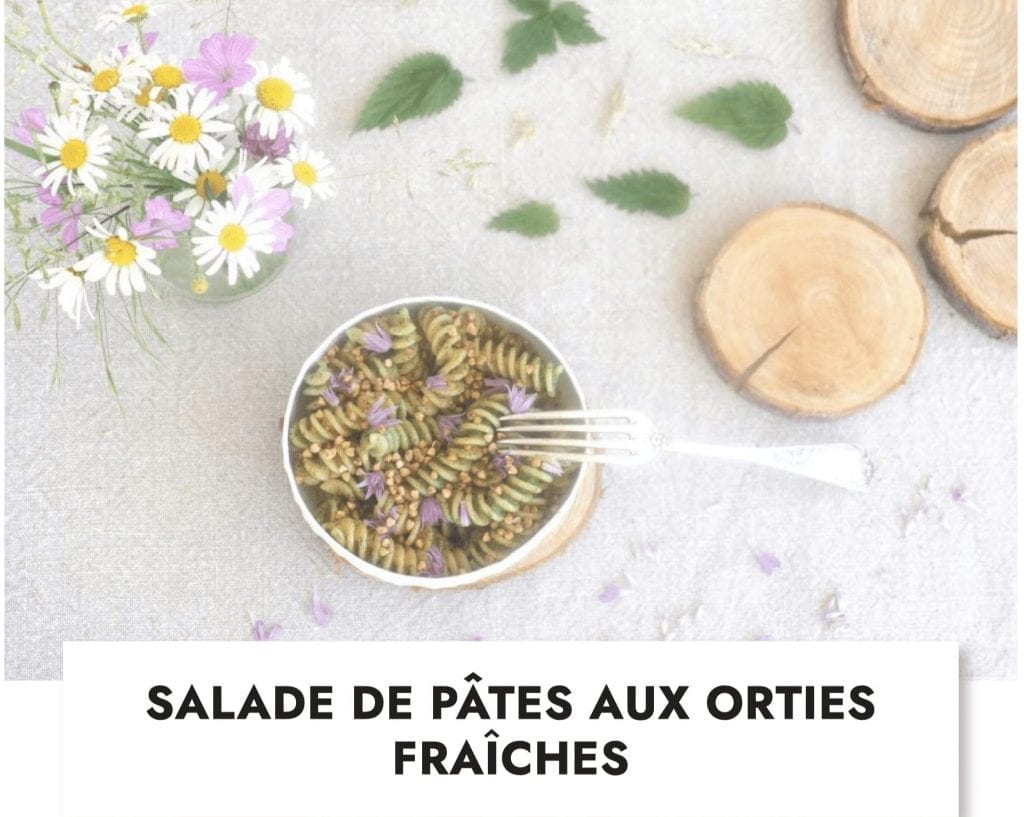 4 saisons de cueillette - tome 2