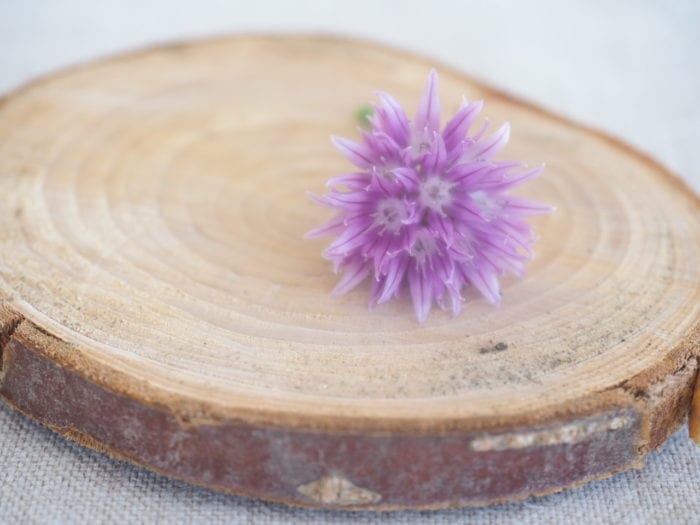 cervelle des canuts aux fleurs de ciboulette