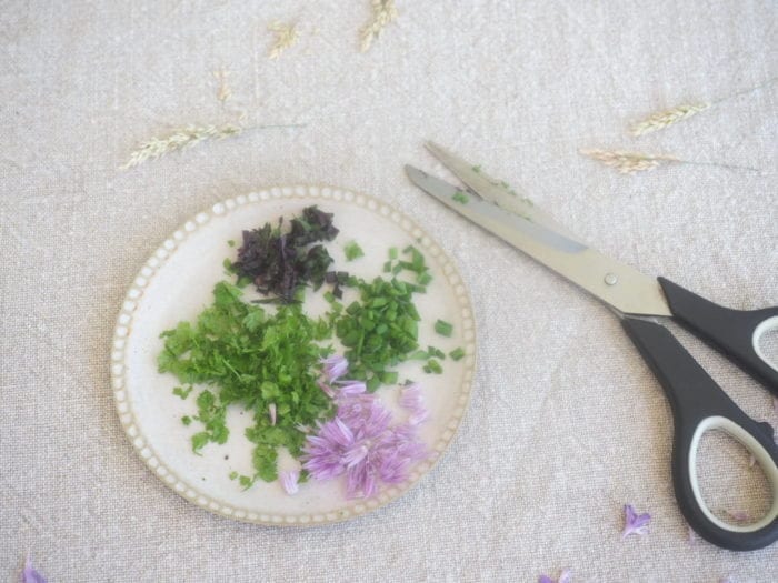 cervelle des canuts aux fleurs de ciboulette