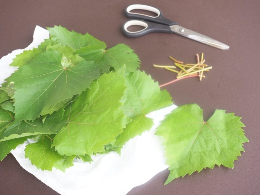 féta en papillote de feuilles de vigne
