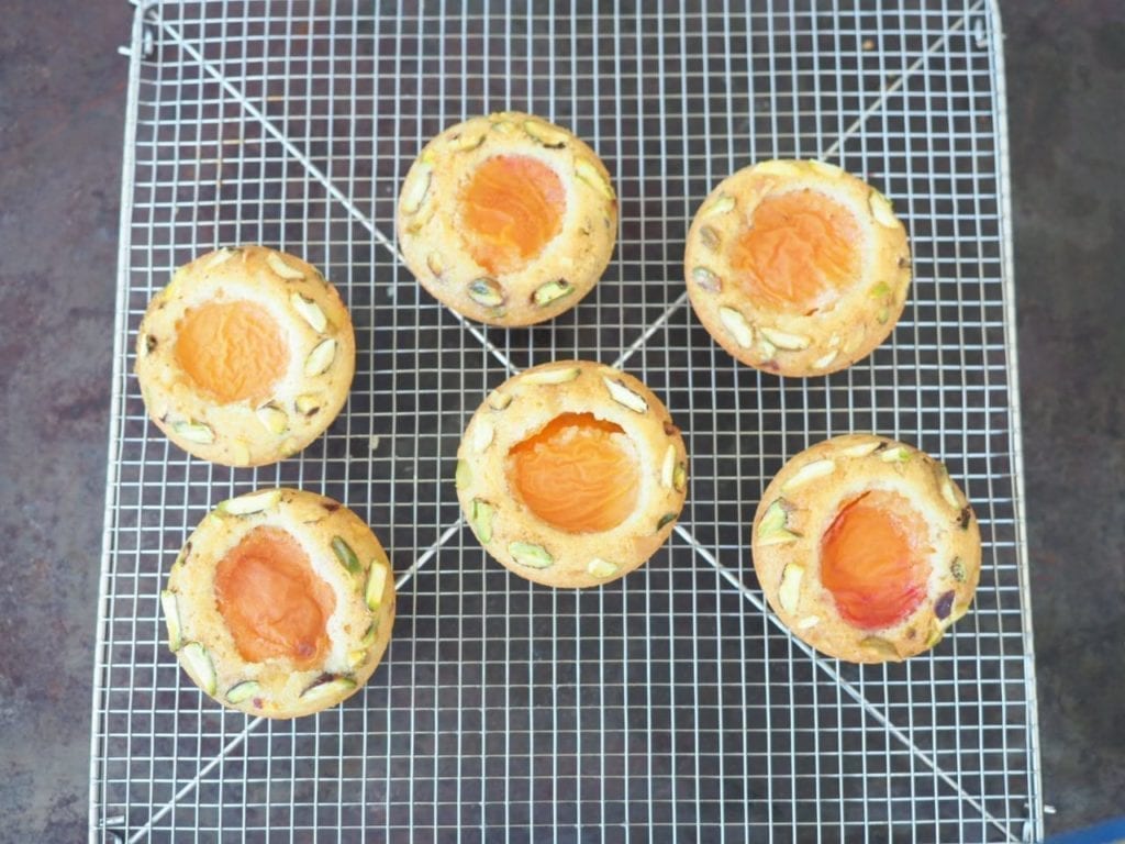 financier aux abricots