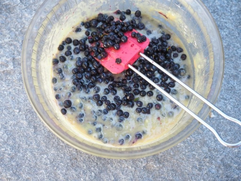 financier géant aux myrtilles